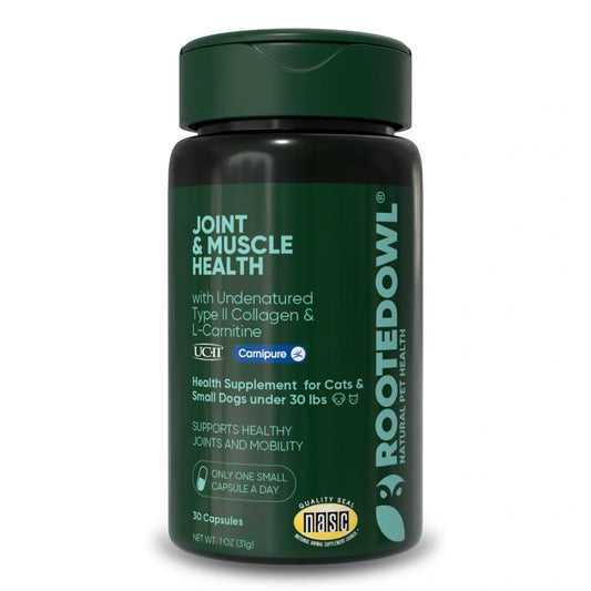 Salud Articular y Muscular