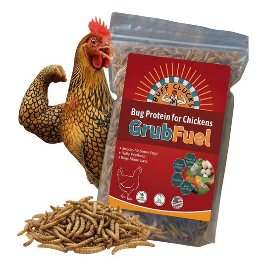 GrubFuel - Larvas de mosca soldado negra para gallinas